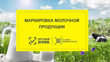 Проект программы совещания по вопросам маркировки молочной продукции для участников оборота Южного федерального округа