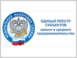 Единый реестр субъектов МСП обновлен по данным за 2025 год. Что делать, если вас по какой-то причине не включили